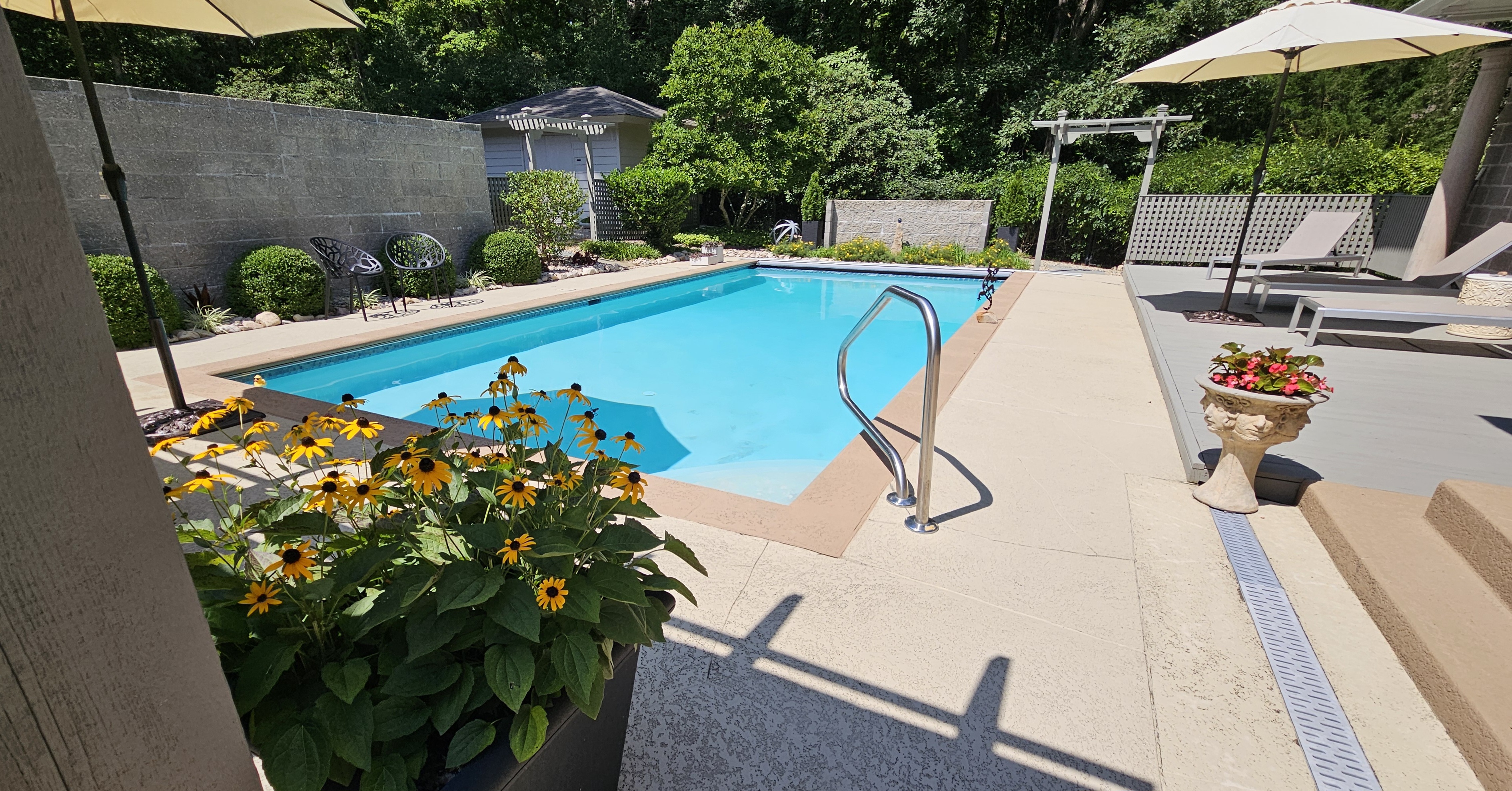 Beautiful clean pool maintained by PoolTechPro Demo